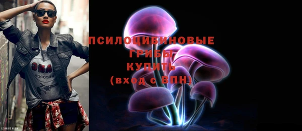 крисы Арсеньев