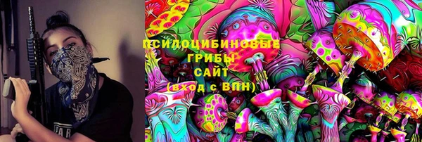 крисы Арсеньев