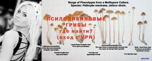 крисы Арсеньев