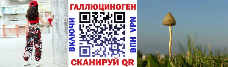 hydra как зайти  Сурск  Галлюциногенные грибы Psilocybe 